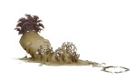aspergillus10