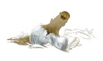 aspergillus13