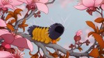 lophocampa_1
